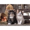 Puzzle Lovely Kittens 1000pzs - imagen 1