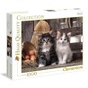 Puzzle Lovely Kittens 1000pzs - imagen 2