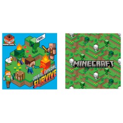 Cojin Minecraft
