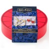 Set regalo colgante + pendientes Amortentia Harry Potter - imagen 3