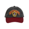 Gorra Gryffindor Harry Potter - imagen 1