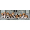 Puzzle Panorama Beagles 1000pzs - imagen 1