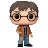 Figura POP Harry Potter - Harry Potter - imagen 1