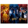 Puzzle Ron, Harry y Hermione Harry Potter 1000pzs - imagen 1
