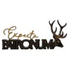 Letrero madera Patronum Harry Potter - imagen 1