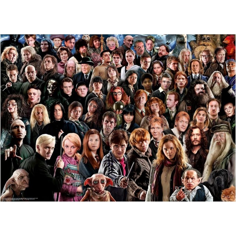 Puzzle Harry Potter 1000pzs