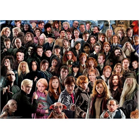 Puzzle Harry Potter 1000pzs