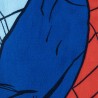 Set toalla + gafas natacion Spiderman Marvel - imagen 3