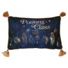 Cojin velvet Potions Class Harry Potter - imagen 1