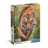 Puzzle The Hunter'S Path 1000pzs - imagen 1