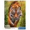 Puzzle The Hunter'S Path 1000pzs - imagen 2