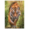 Puzzle The Hunter'S Path 1000pzs - imagen 3