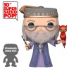 Figura POP Harry Potter Albus Dumbledore with Fawkes 25cm - imagen 2