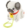 Pasea al Perrito Carlino - imagen 1