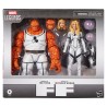 Figura The Thing - Invisble Woman Marvel Legends Series 15cm - imagen 1