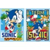 Set 2 posters Sonic The Hedgehog - imagen 2