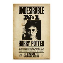 Poster Indeseable Numero 1 Harry Potter