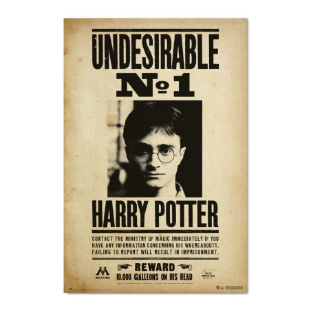 Poster Indeseable Numero 1 Harry Potter