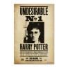 Poster Indeseable Numero 1 Harry Potter