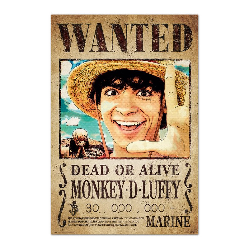 Poster Se Busca Monkey D. Luffy One Piece